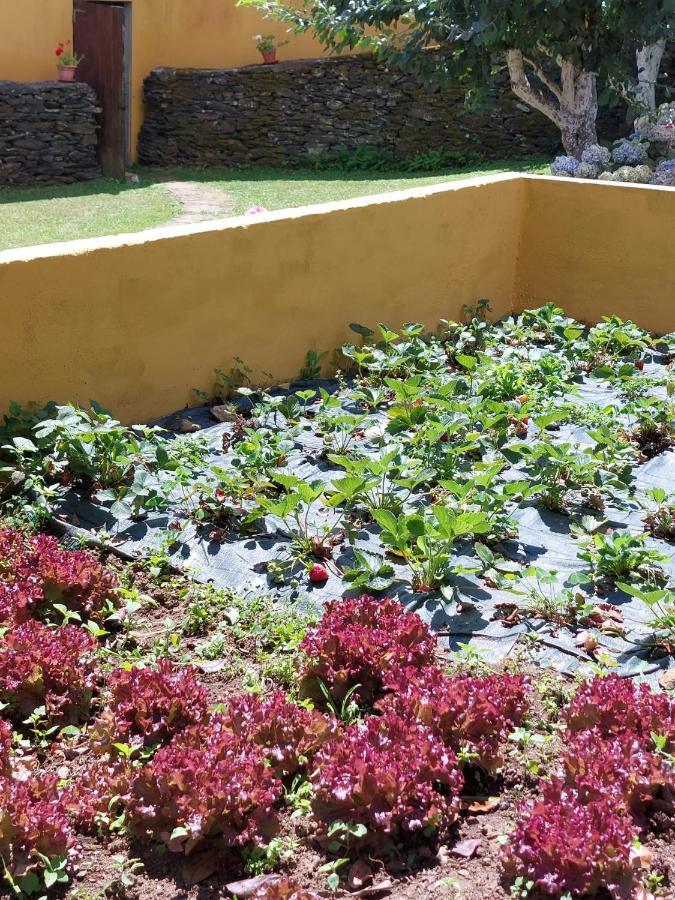 Casas De Maragouzos Villa Silleda Buitenkant foto